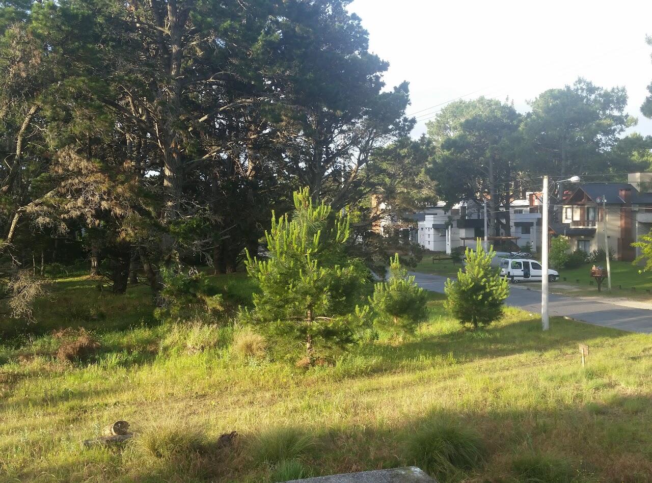 Galería muebles