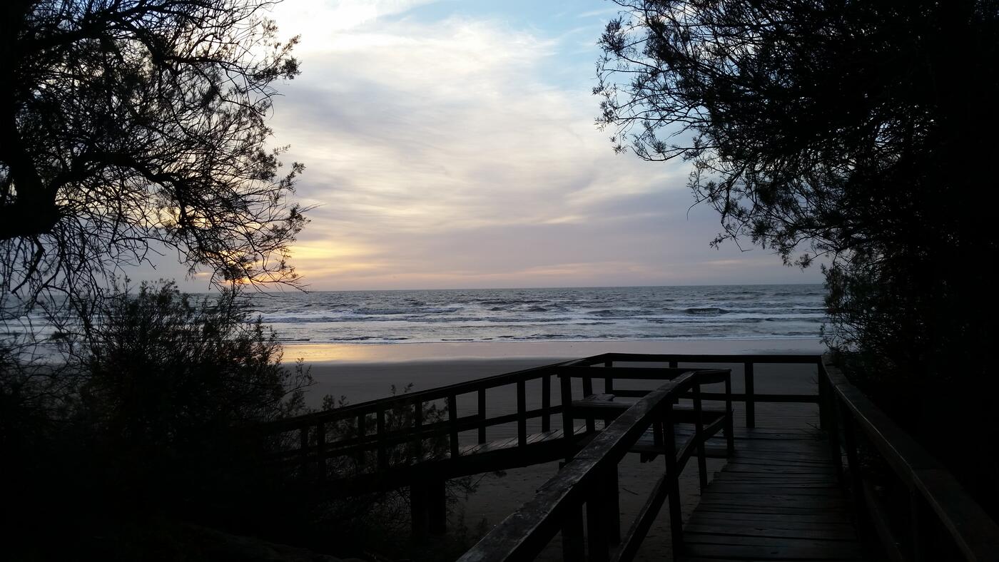 Naturaleza